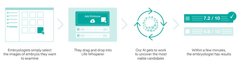 Multiple IVF cycles