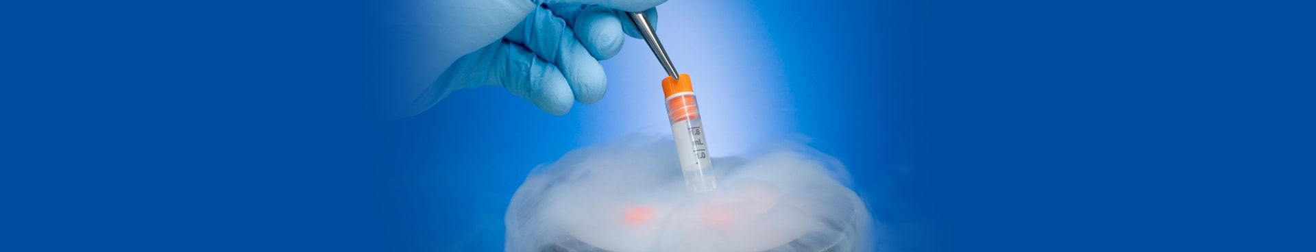 embryo freezing